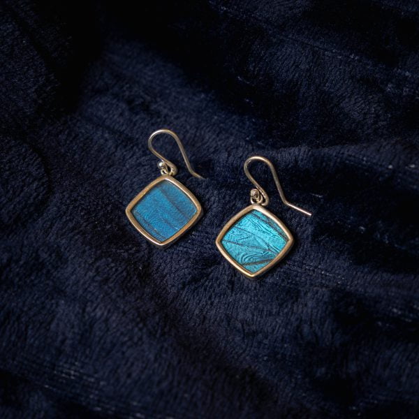 - The Butterfly Connection - Blue Morpho butterfly wing jewelry