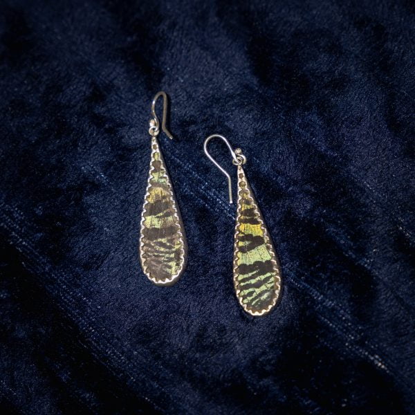 - The Butterfly Connection - Rhipheus Madagascan Sunset Moth wing jewelry