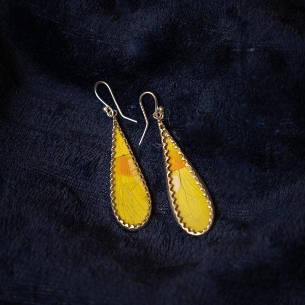 - The Butterfly Connection - Yellow sulphur butterfly wing jewelry