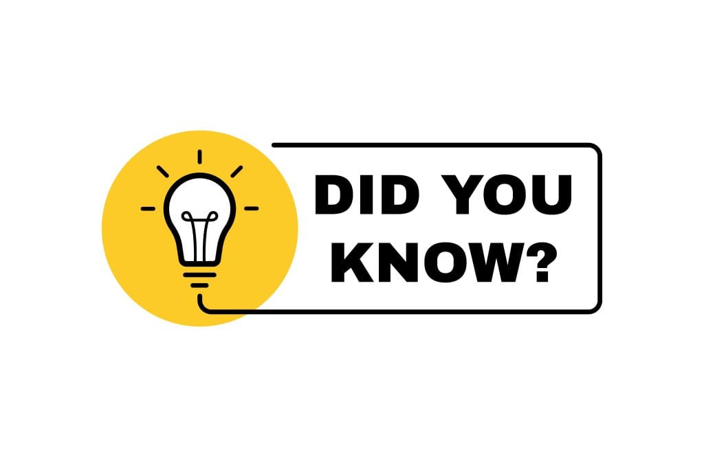 Wait…What? Butterfly Wings Are Actually Transparent? - Wait…What? Butterfly Wings Are Actually Transparent? - - The Butterfly Connection -