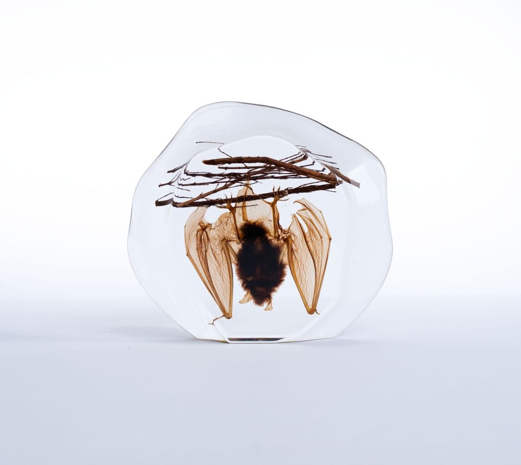 - The Butterfly Connection - Spooky Elegance: Halloween Décor with Resin-Encased Curiosities