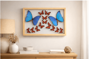 When Fire Meets Light: The Bold Beauty of Juno Longwings & Blue Morphos - When Fire Meets Light: The Bold Beauty of Juno Longwings & Blue Morphos - - The Butterfly Connection -