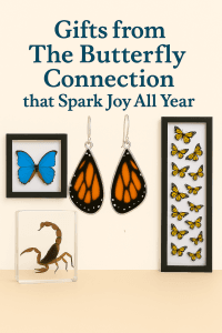 Gifts from the Butterfly Connection