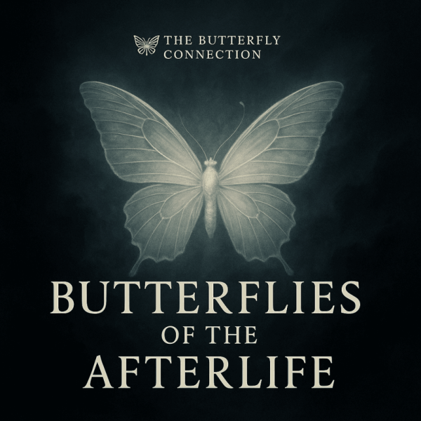 Butterfly of the Afterlife