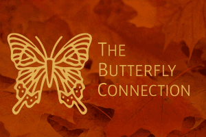 Blog - Blog - - The Butterfly Connection -